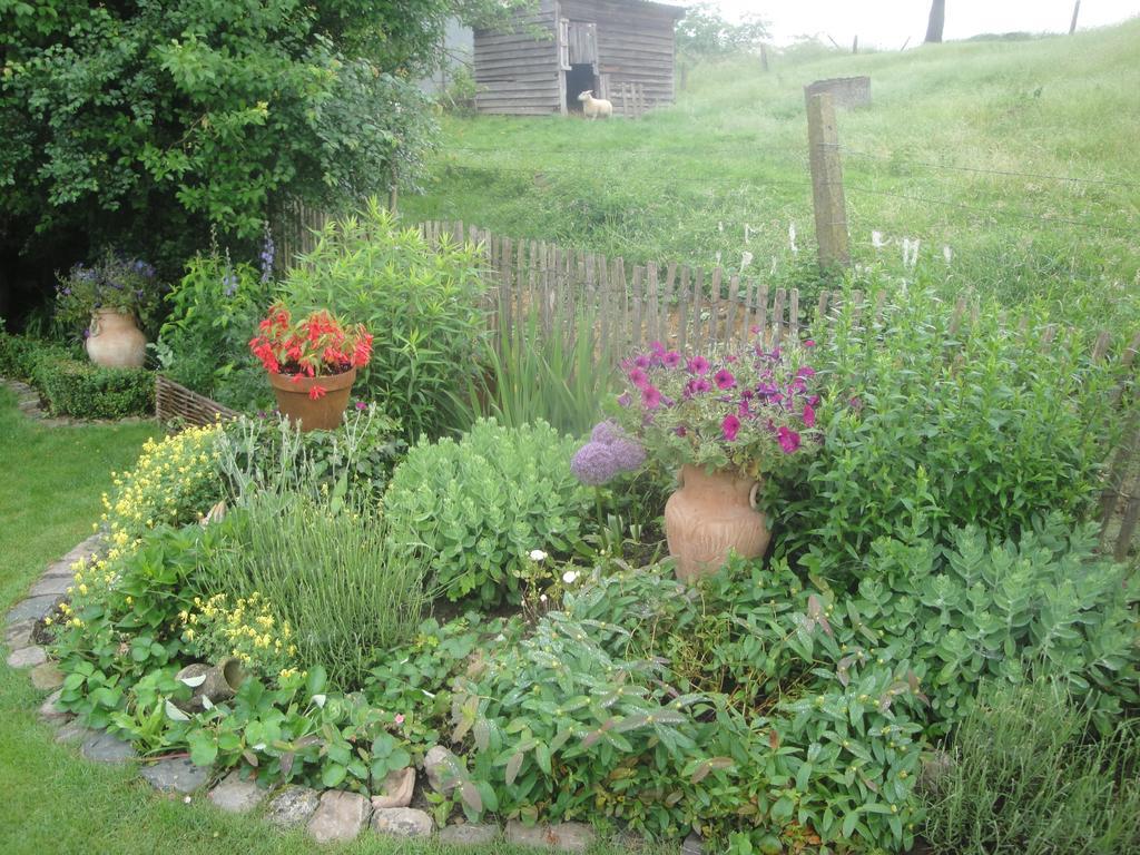 B&B Au Pont D'Arcole Beauvechain Buitenkant foto